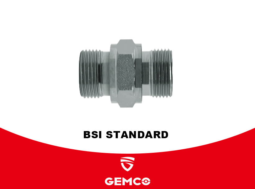 BSI STANDARD